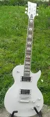 WGS Les Paul E-Gitarre [April 9, 2014, 5:33 pm]
