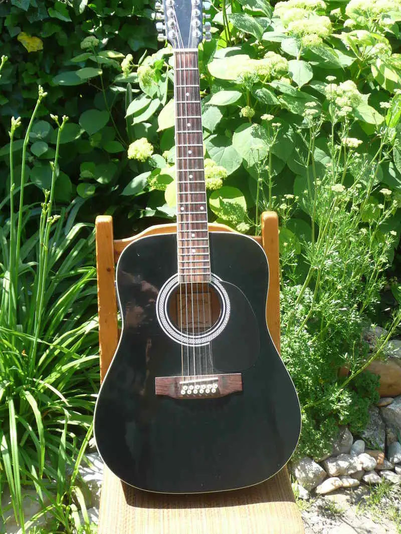 Johnson EST 1993 Acoustic guitar 12 strings
