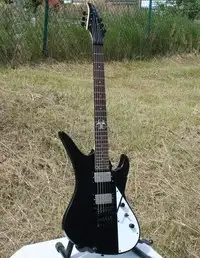 AcePro SME-40 Electric guitar [August 29, 2020, 4:24 pm]