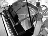 Musica Budapest-Wien Zongora [2014.09.22. 14:43]