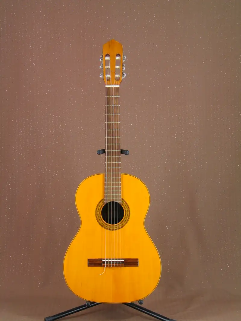 Antonio Sanchez Mod 1008 Akustická gitara