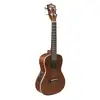 Lanikai LU21CE Ukulele [February 22, 2015, 12:55 pm]
