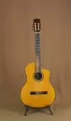 Giannini Exotic Guitarra electroacústica [June 7, 2015, 10:32 am]