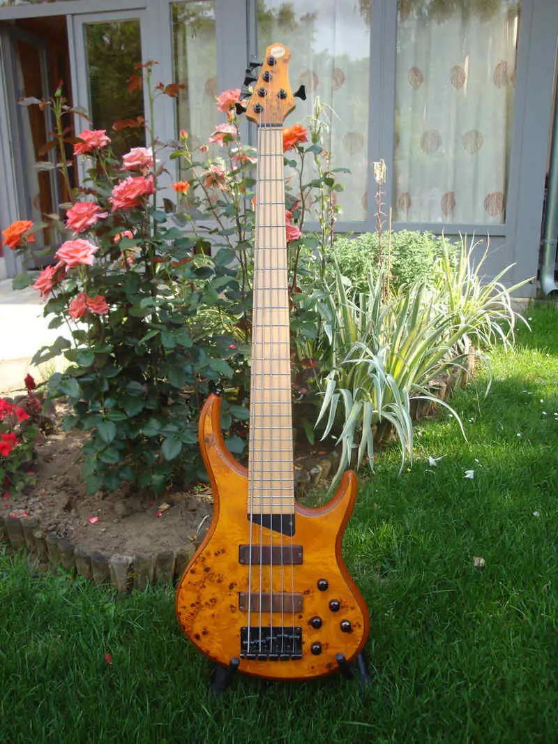 MTD Kingston Z5 Basszusgitár 5 húros