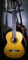 Walden N550 tömör fedlapos Akustikgitarre [March 30, 2016, 11:00 am]