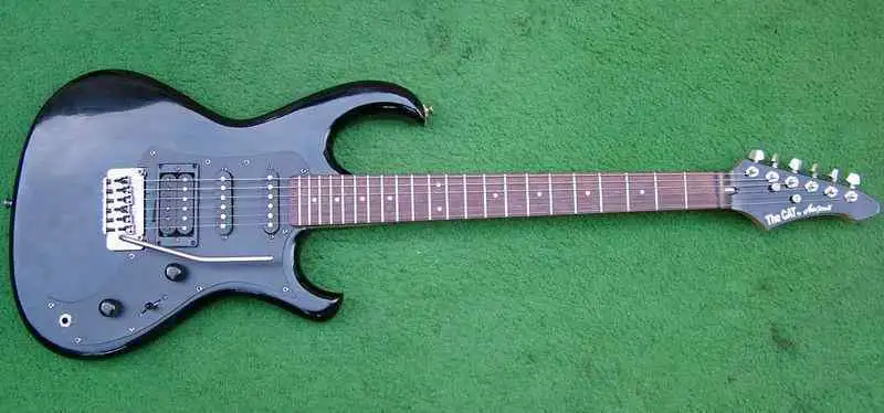 The Cat by Aria Pro II | eBay