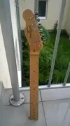 Skyline Telecaster Neck [October 11, 2015, 3:48 pm]