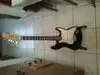 Flash  Electric guitar [October 13, 2015, 7:57 am]