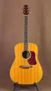 Walden DS 450 Akustikgitarre [November 29, 2015, 3:14 pm]