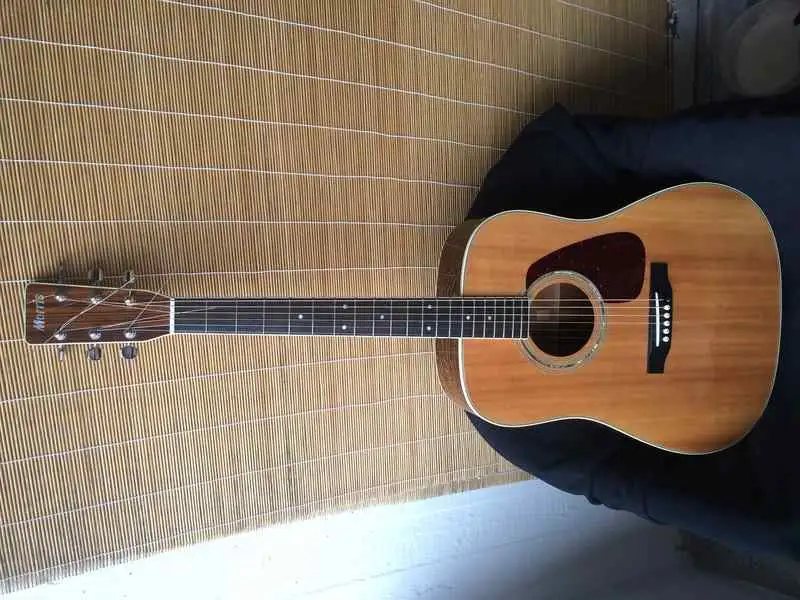 ☆MORRIS☆MF-301N 豊富な，定番 MORRIS ギター MF-301N