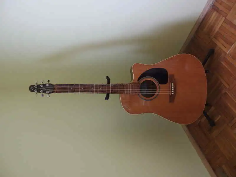 Seagull Performer CW GT QI Elektroakusztikus gitár