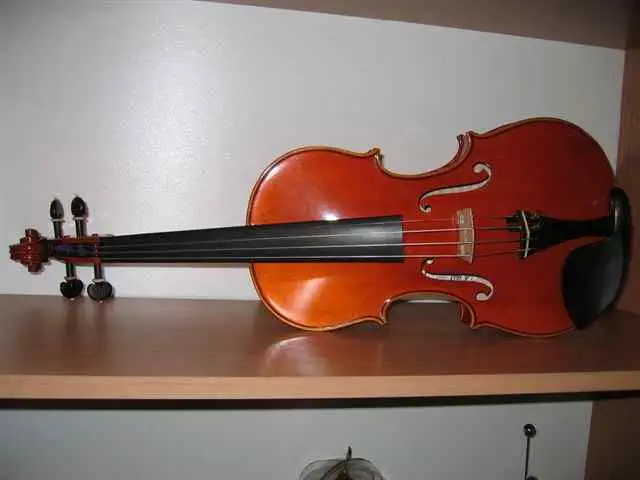 Egyedi készítésű Hegedű Hegedű