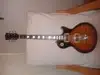 Jackie jackson Les paul Electric guitar [January 31, 2016, 5:54 pm]