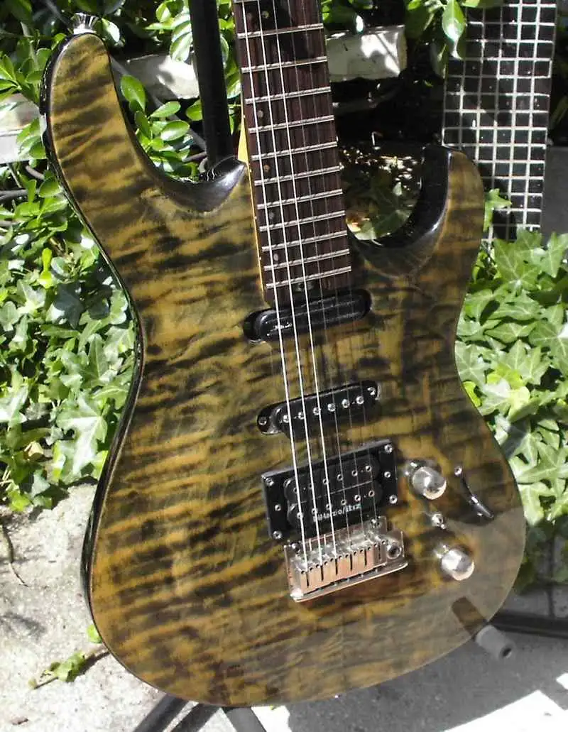 Cort G-290 G-custom Electric guitar