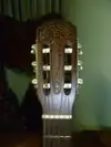 Giannini AWN 31 Guitarra acústica [May 19, 2016, 6:34 pm]