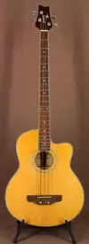 Cherrystone FTAW-BASS Electro-acoustic bass guitar [July 8, 2016, 3:31 pm]