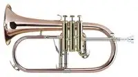 Lechgold FH-60G Flügelhorn Horn [January 24, 2024, 10:34 am]