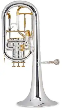 Lechgold Supreme AH-204 Eb-Alt Horn [January 24, 2024, 10:42 am]