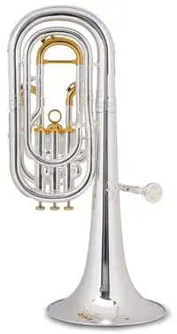 Lechgold Supreme BH-241 Bb Bariton [August 28, 2019, 3:24 pm]