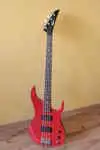 Fighter  Bass Gitarre [August 14, 2016, 7:17 pm]