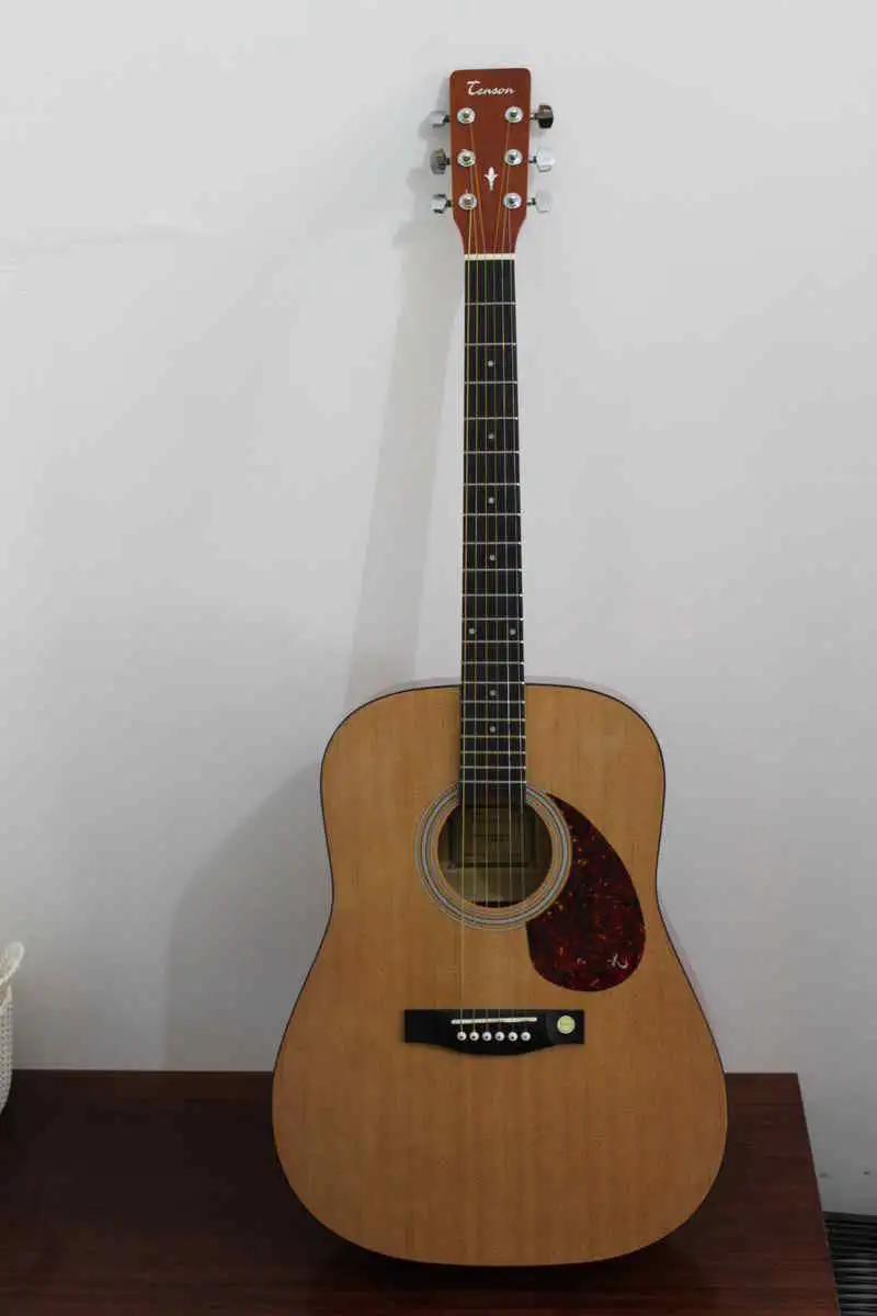 Tenson D1 Dreadnought Acoustic guitar