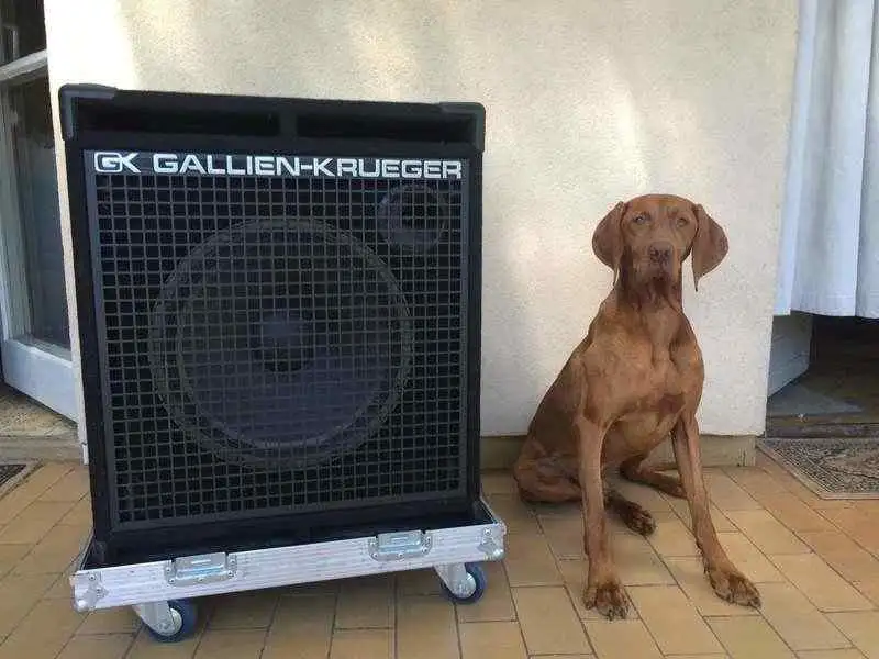 Gallien-Krueger RBH115 Basszusgitár hangláda