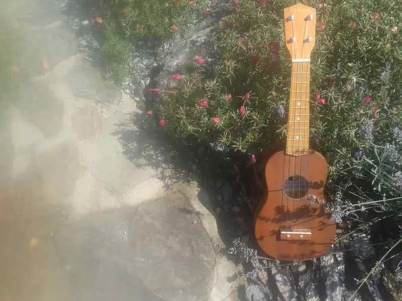 CGiant Szoprán Ukulele