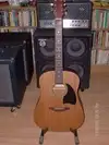 Lyon by Washburn LD-7M Guitarra acústica [September 12, 2016, 3:34 pm]