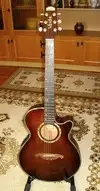 Vester VSS.577 Elektroakustická gitara [August 21, 2016, 7:17 pm]
