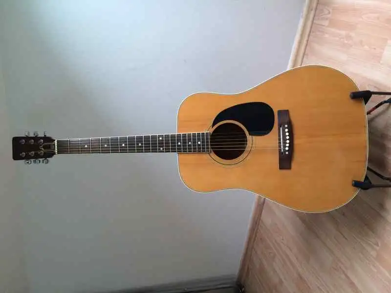  WJ700W Acoustic guitar