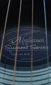 Applause AE 28 Electro-acoustic guitar [September 19, 2016, 7:57 pm]