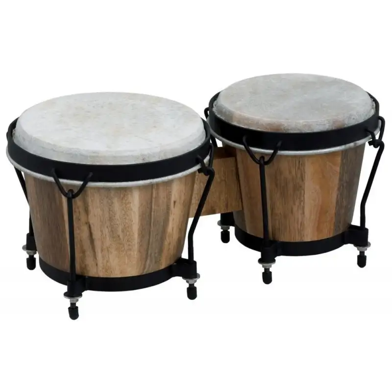  Salsa Bongo