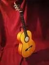 Francisco Bros B40F Klassiche Gitarre [September 29, 2016, 6:31 pm]