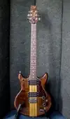 Vantage VS600 Electric guitar [October 20, 2016, 1:36 pm]