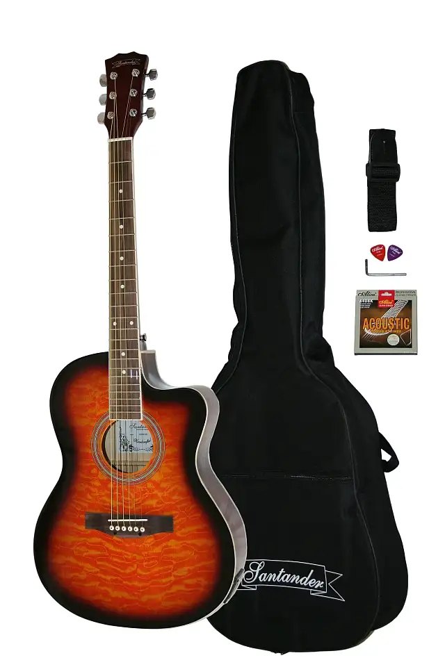  WS55 Elektro-Akkustik Guitarre