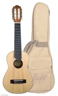Flight GUT 350 Guitalele [March 20, 2025, 12:46 pm]