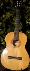 Admira 1000 Acoustic guitar [December 31, 2016, 10:03 am]