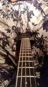 Steinberger 5 huros XT-25 Bass guitar [January 5, 2017, 7:39 pm]