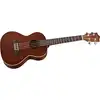 Lanikai LU-21T Ukulele [January 18, 2017, 12:13 am]