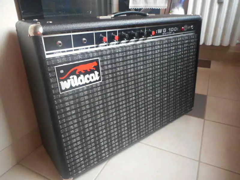 - Novanex wg100 wildcat Guitar combo amp