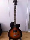 DeArmond  E-Gitarre [January 31, 2017, 1:34 pm]