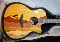 Luna Vista Eagle Elektro-Akkustik Guitarre [September 4, 2020, 12:26 pm]