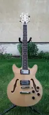 Cherrystone  Electro-acoustic guitar [June 1, 2017, 12:39 pm]