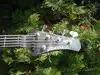Modulus Flea 5 5-Saiter Bass-Gitarre [June 30, 2017, 8:37 am]