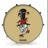 Evans INK22AMSKULL Drumhead [September 30, 2019, 3:06 pm]