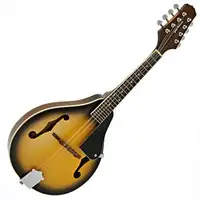 Gear4music 15726 Mandolin [May 22, 2021, 5:08 pm]