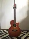 Takamine Jasmine TS93C Elektro-Akkustik Guitarre [August 15, 2017, 11:02 pm]