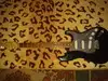 Jack and Danny Brothers  Electric guitar [August 20, 2017, 1:26 am]