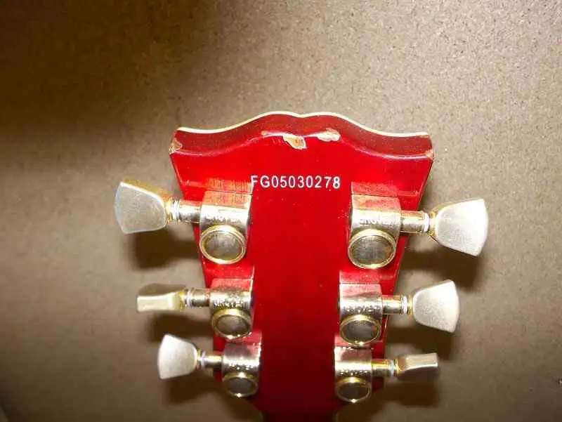 Burny Les Paul Guitarra eléctrica