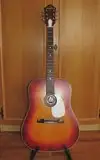 Lignatone  Electro-acoustic guitar [November 12, 2017, 6:39 pm]